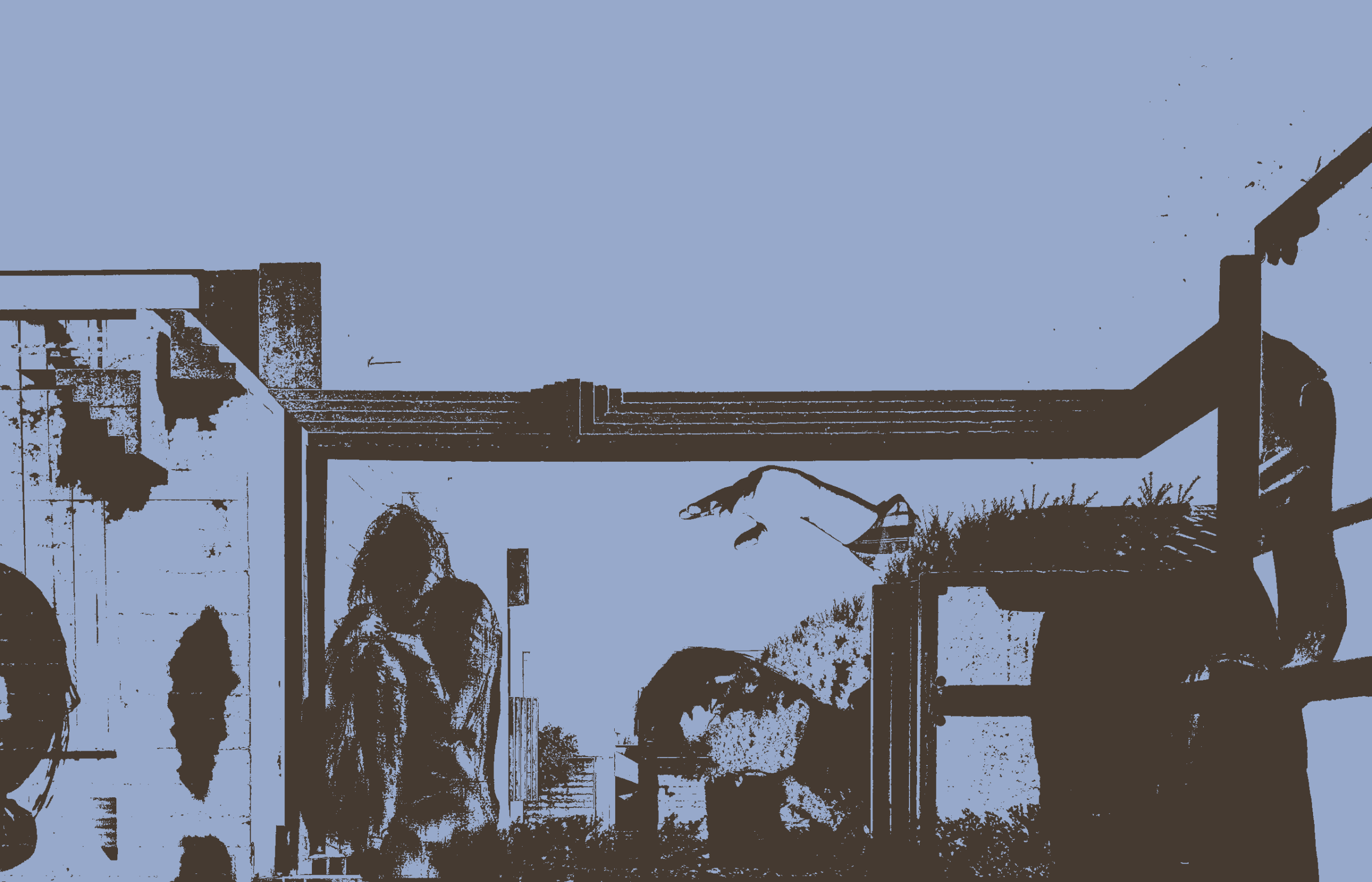 Original image with only 2 colors.