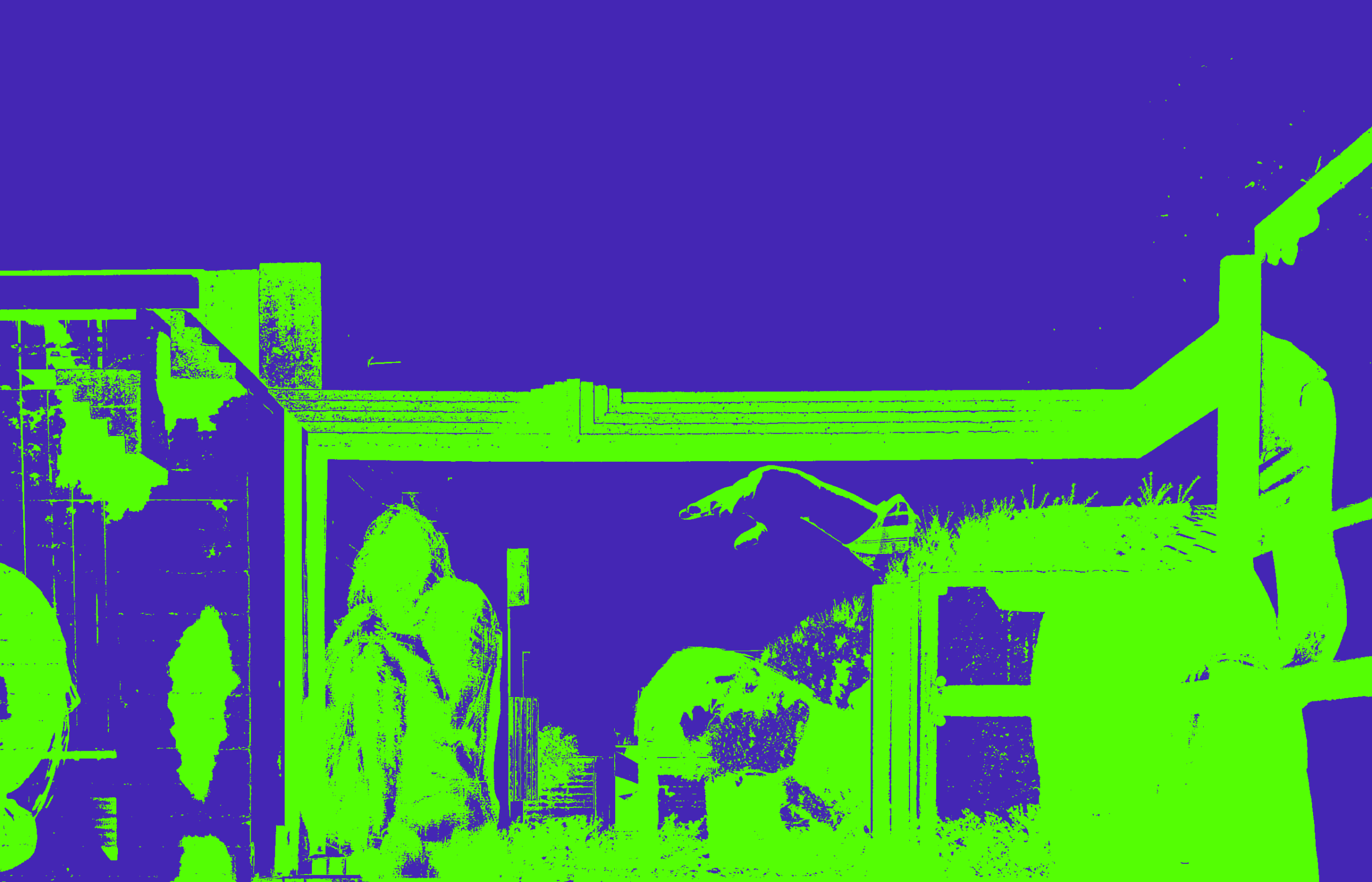 Original image in only blue and green.