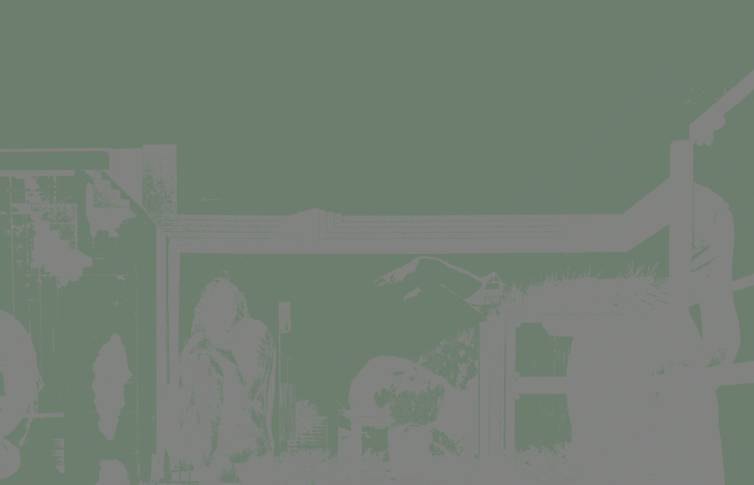 Original image with 2 colors but lower contrast.